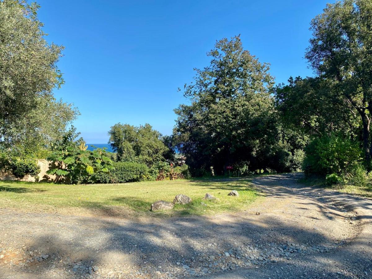 Domaine Punta Della Guardia Villa Panorama Maquis Et Mer, Plage A 1,5 Km Cervione Exterior photo